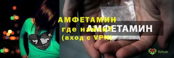 гидра Каменка