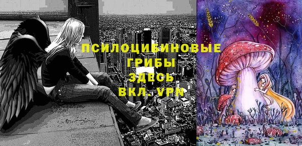 гидра Каменка