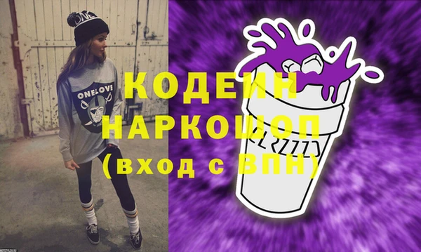 гидра Каменка