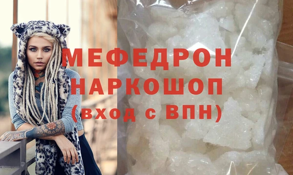 гидра Каменка