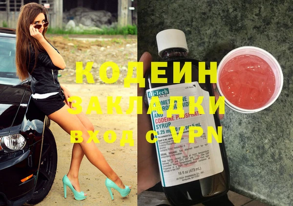 гидра Каменка