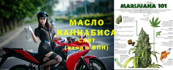 СК Каменногорск