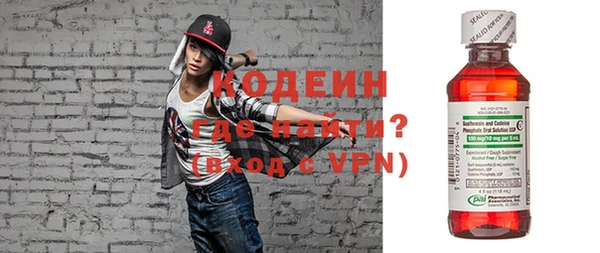 гидра Каменка