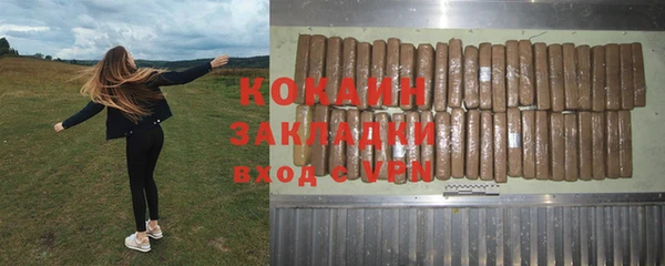 гидра Каменка
