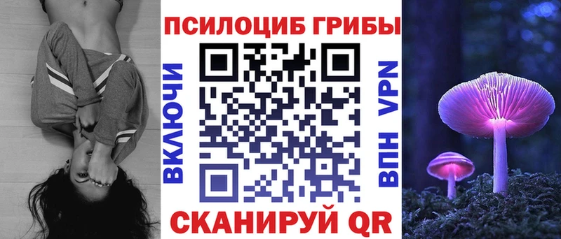 Купить где  Белорецк  Галлюциногенные грибы Cubensis 